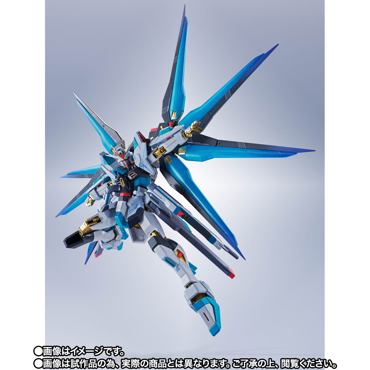 抽選販売】METAL ROBOT魂 ＜SIDE MS＞ ストライクフリーダムガンダム