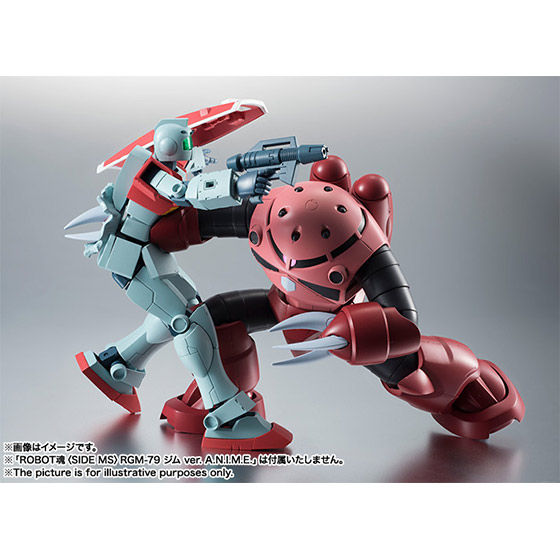ROBOT魂 〈SIDE MS〉 MSM-07S シャア専用ズゴック ver. A.N.I.M.E.