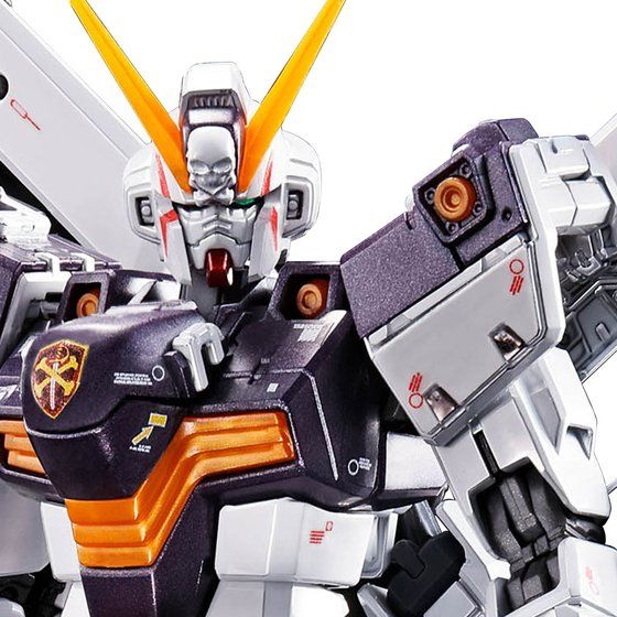 RG 1/144 クロスボーン・ガンダムX1[チタニウムフィニッシュ] | GUNDAM