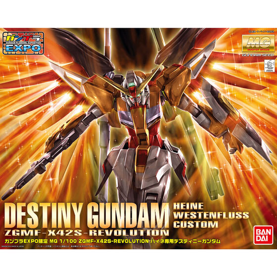MG 1/100 ハイネ専用デスティニーガンダム | GUNDAM Official Website