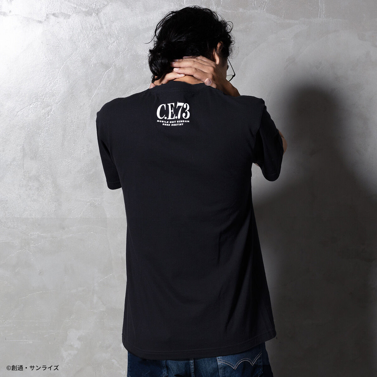 STRICT-G『機動戦士ガンダムSEED DESTINY』半袖Tシャツ デスティニー
