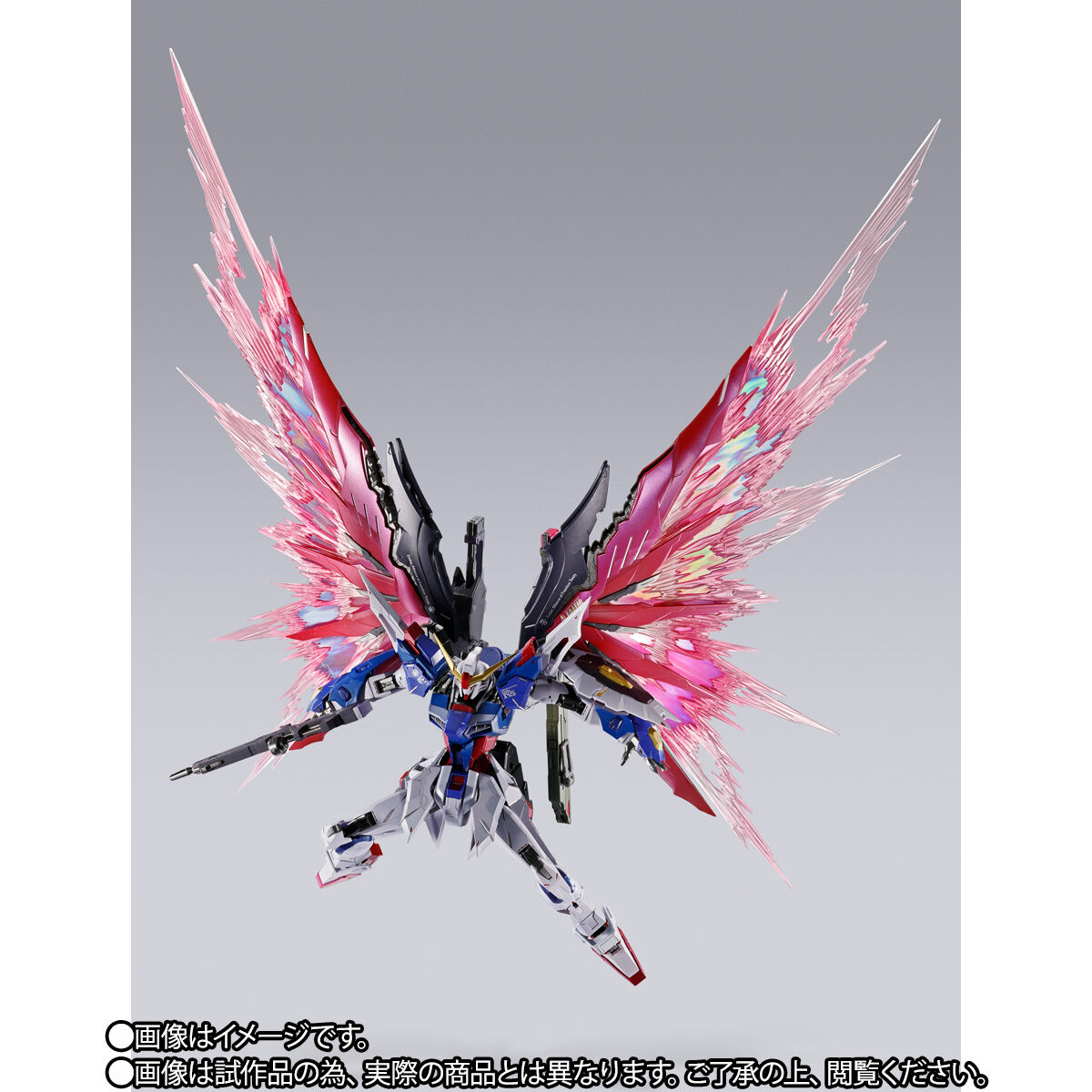 事後CTM2次抽選販売】METAL BUILD デスティニーガンダム 