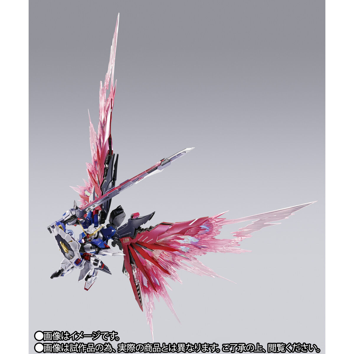 事後CTM2次抽選販売】METAL BUILD デスティニーガンダム