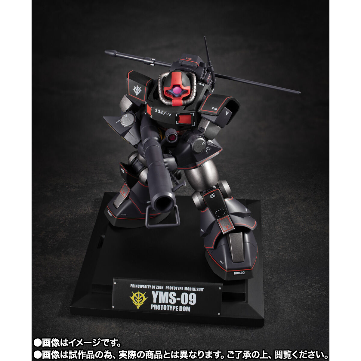 ROBOT魂 ＜SIDE MS＞ YMS-09 プロトタイプ・ドム ver. A.N.I.M.E. ～MS