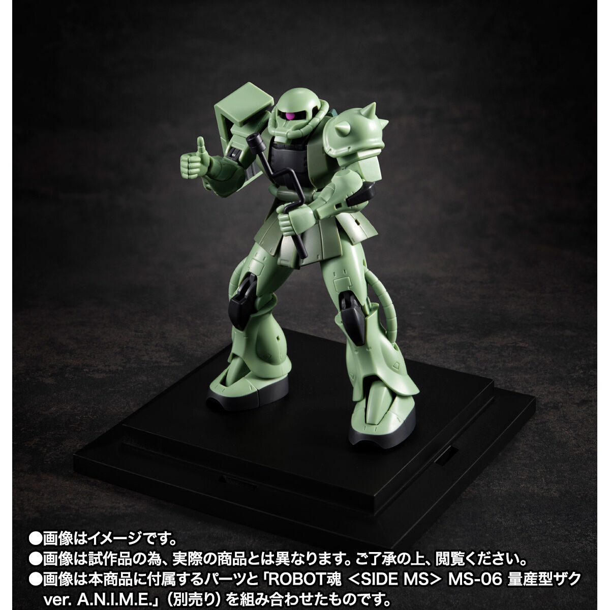 ROBOT魂 ＜SIDE MS＞ YMS-09 プロトタイプ・ドム ver. A.N.I.M.E. ～MS