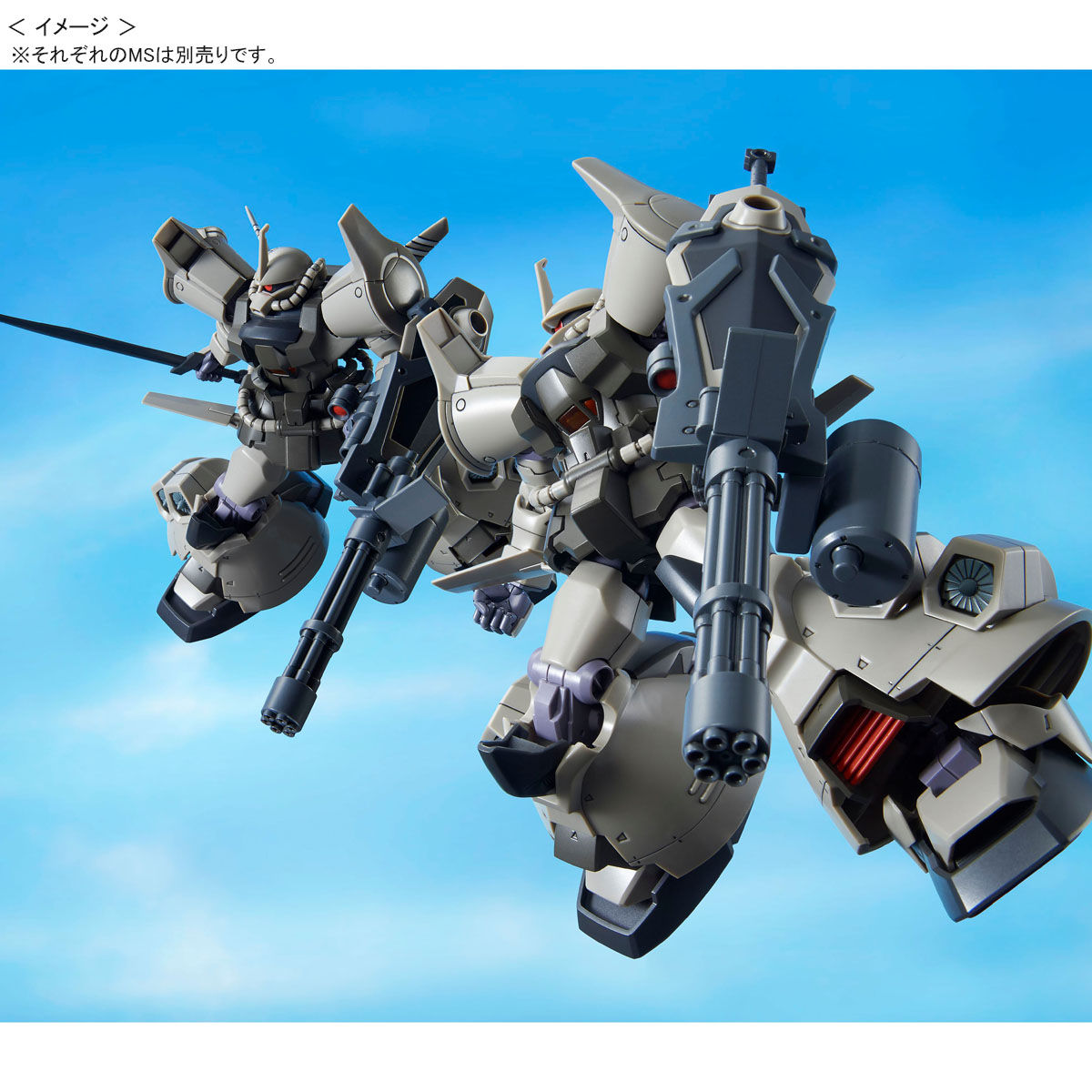 HGUC 1/144 グフ・フライトタイプ 【再販】 | GUNDAM Official Website