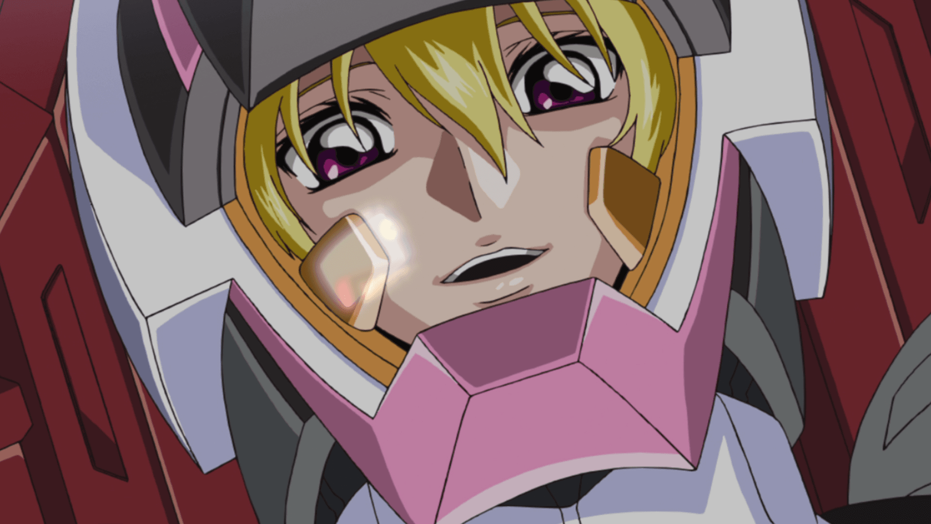 機動戦士ガンダムSEED DESTINY スペシャルエディション | GUNDAM