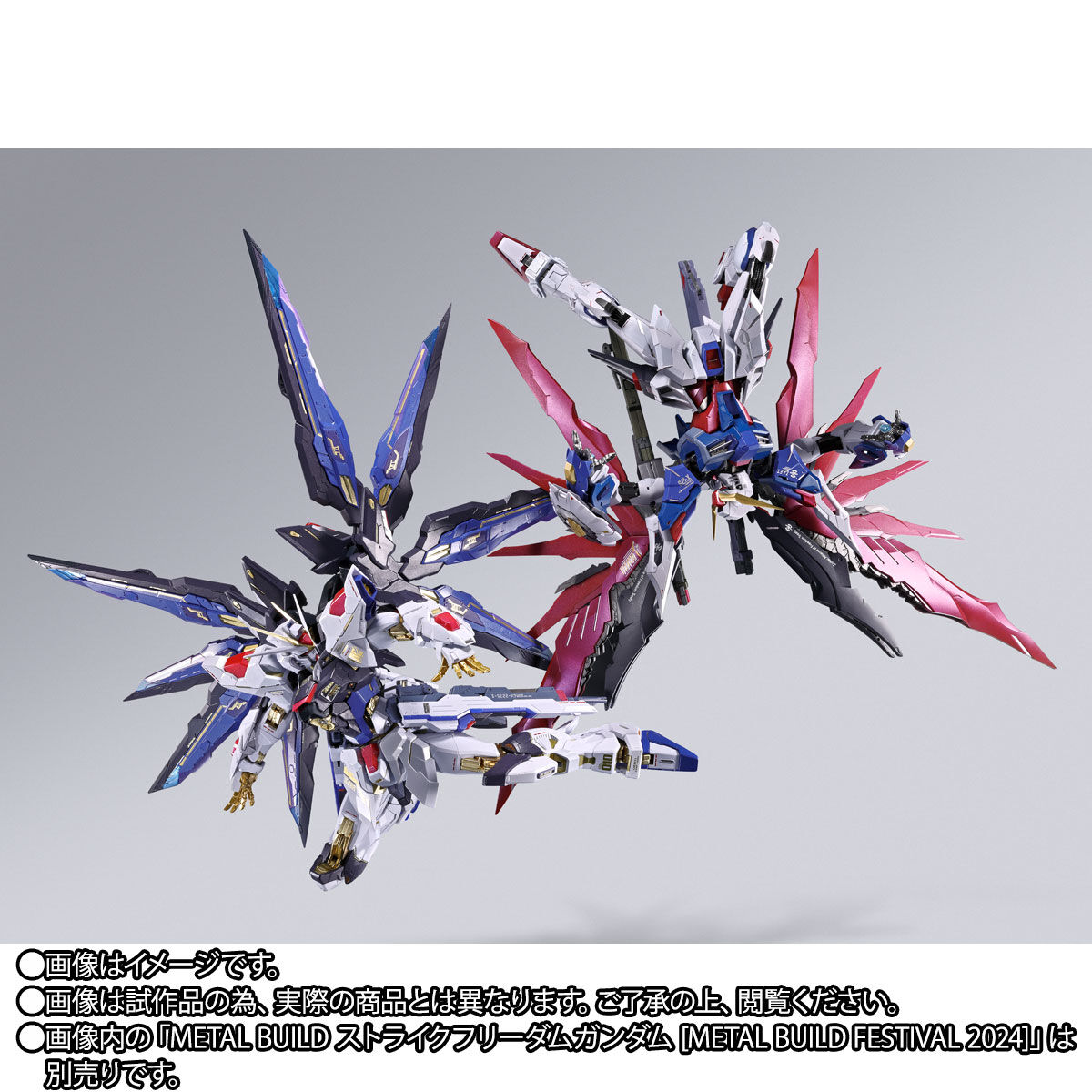 事後CTM2次抽選販売】METAL BUILD デスティニーガンダム