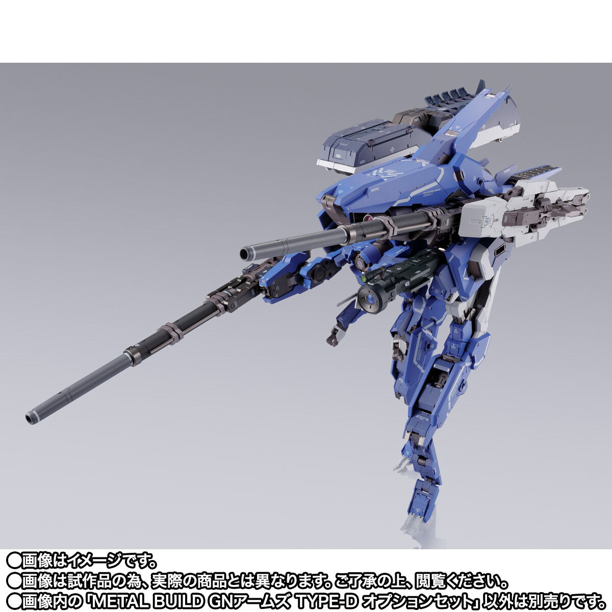 抽選販売】METAL BUILD GNアームズ TYPE-D オプションセット | GUNDAM