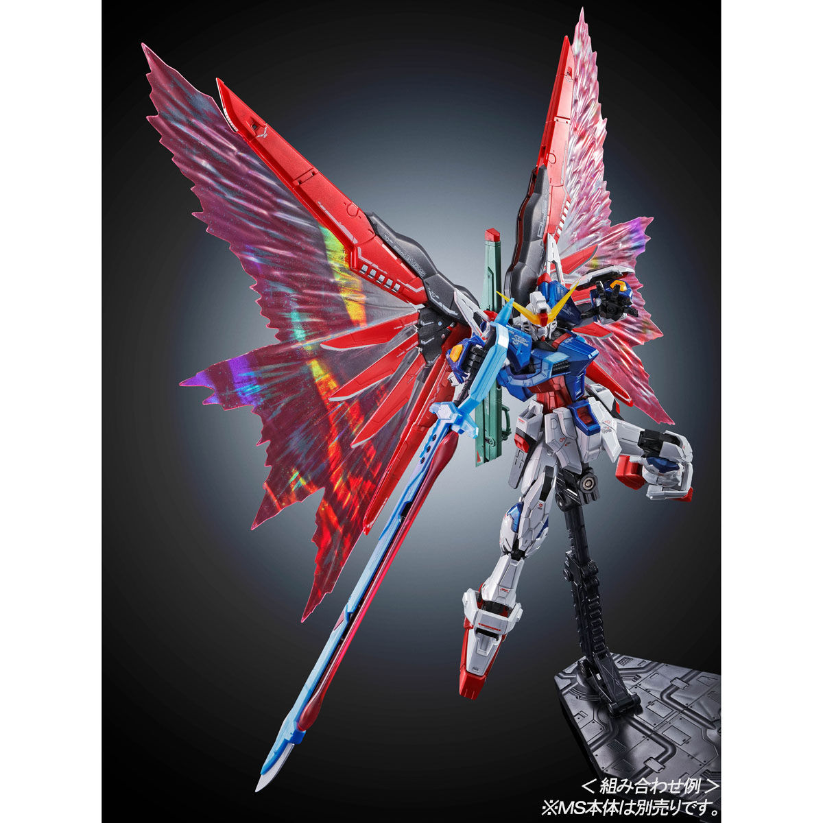 RG 1/144 デスティニーガンダム用 拡張エフェクトユニット“光の翼