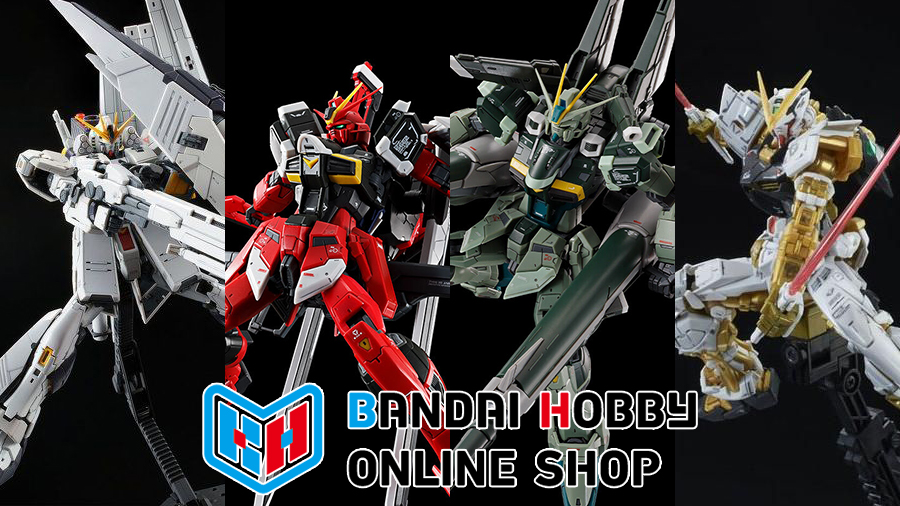 機動戦士ガンダムSEED DESTINY スペシャルエディション | GUNDAM