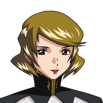機動戦士ガンダムSEED DESTINY | GUNDAM Official Website