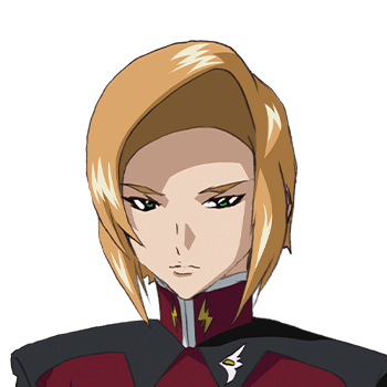 機動戦士ガンダムSEED DESTINY | GUNDAM Official Website