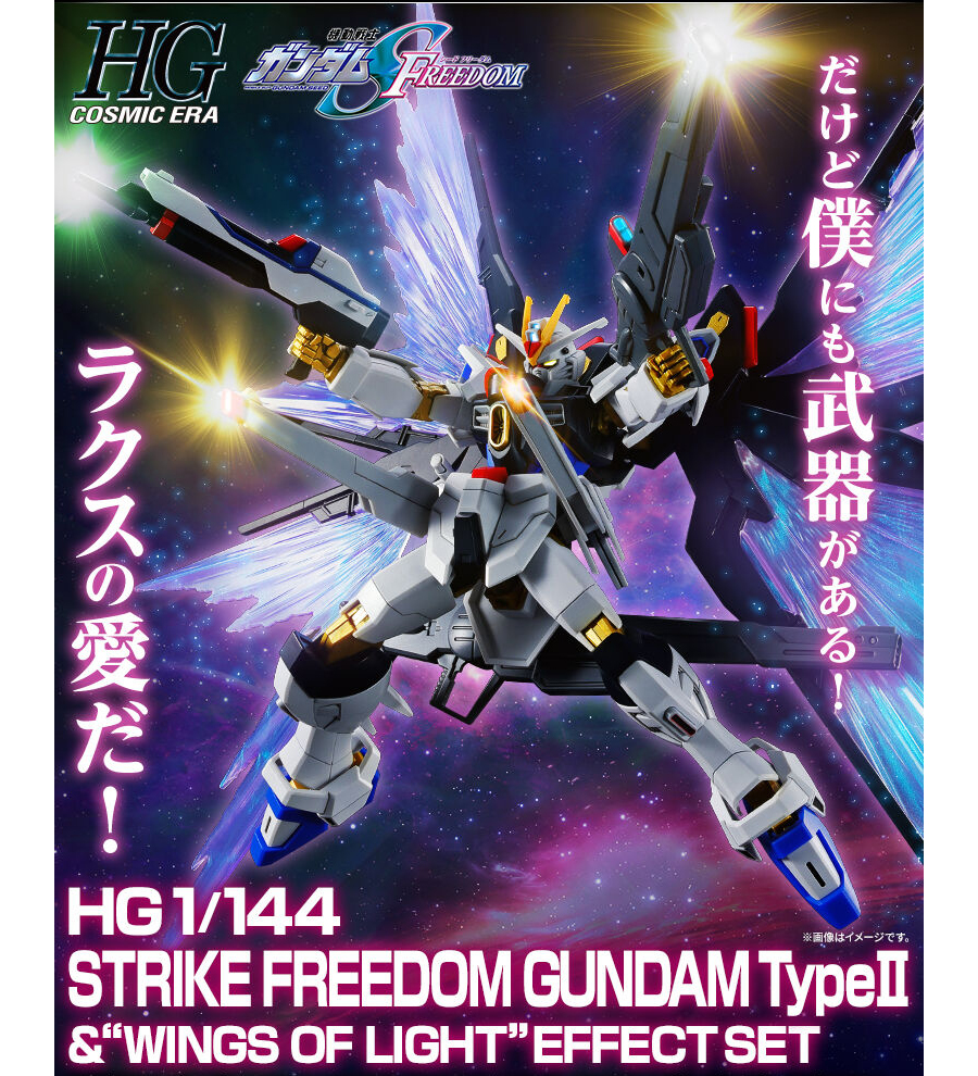 HGCE 1/144 Strike Freedom Gundam, image size:900x990