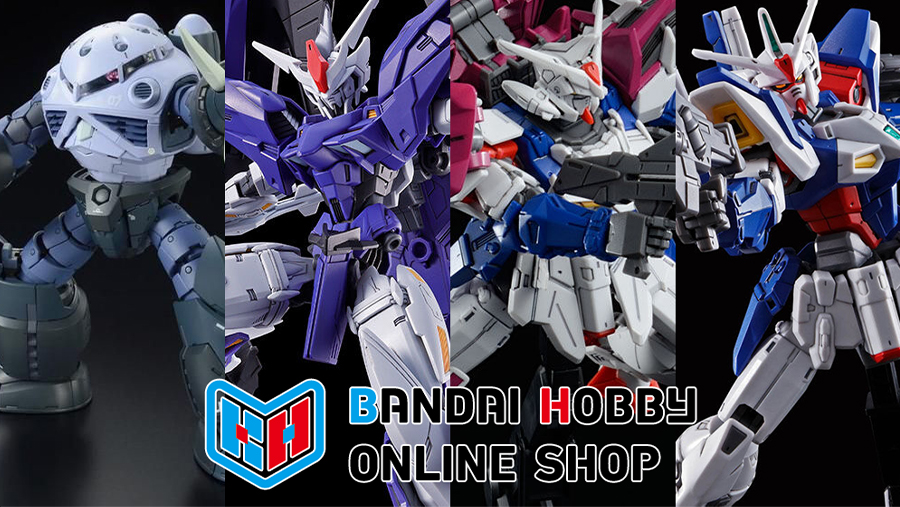 ガンプラ 3点セット HG RG ガンプラ「RG 量産型ズゴック」「HG ガンダムグリープ」「HG ガンダム