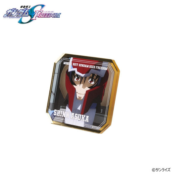 機動戦士ガンダムSEED FREEDOM シン・アスカバースデイシリーズ