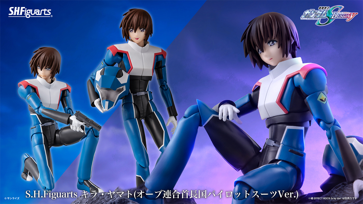機動戦士ガンダムSEED DESTINY スペシャルエディション | GUNDAM