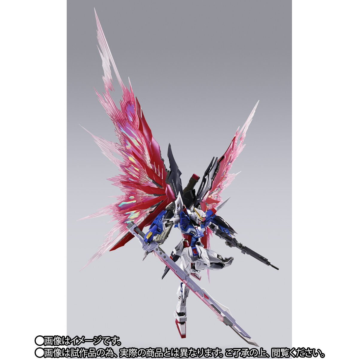 事後CTM2次抽選販売】METAL BUILD デスティニーガンダム
