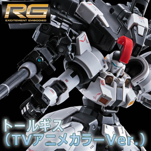 【新品未組立】ライール　ガンメタリックVer. 限定版 300.jpg