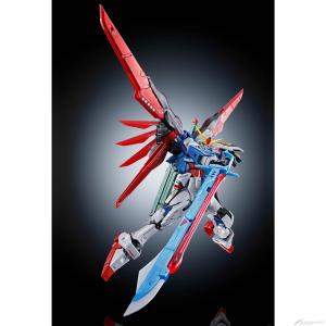 RG デスティニーガンダム［チタニウムフィニッシュ］」＆「拡張