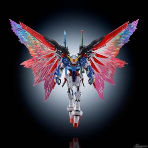 RG デスティニーガンダム［チタニウムフィニッシュ］」＆「拡張