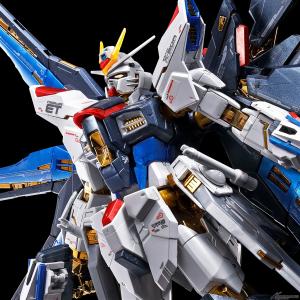 RGストライクフリーダムガンダム チタニウムフィニッシュ 005.jpg.thumb.300.300.jpg