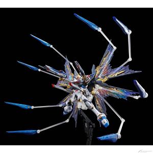 RG ストライクフリーダムガンダム［チタニウムフィニッシュ］」本日