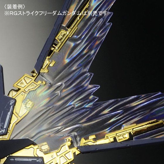 RG ストライクフリーダムガンダム［チタニウムフィニッシュ］」本日