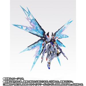 METAL BUILD ストライクフリーダムガンダム 光の翼オプションセット