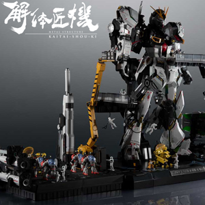 METAL BUILD ストライクフリーダムガンダム 光の翼オプションセット