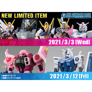 Seven Items Including the RG Crossbone Gundam X1 [Titanium Finish
