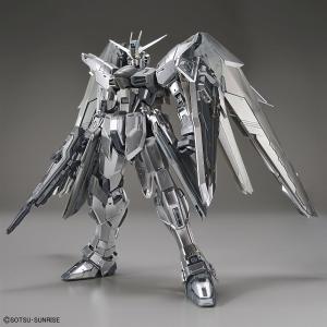 MG フリーダムガンダム Ver.2.0［シルバーコーティング］」＆「RG ν