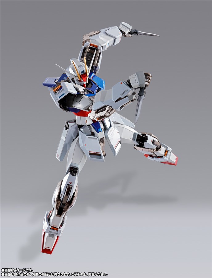 彩色とパッケージを限定バージョンとして一新！「METAL BUILD