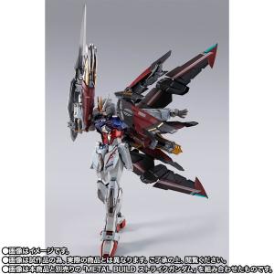 METAL BUILD ガンダムアストレイ ゴールドフレーム」＆「ディバイン