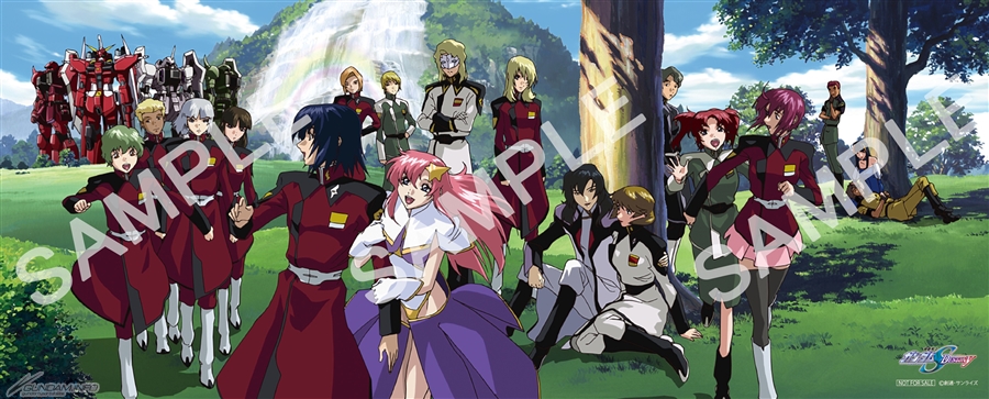 機動戦士ガンダムSEED DESTINY スペシャルエディションII それぞれの剣