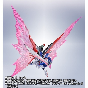 METAL ROBOT魂 ＜SIDE MS＞ デスティニーガンダムSpecII」＆「ゼウス