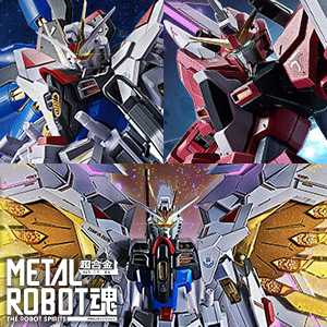 METAL BUILD ストライクフリーダムガンダム 光の翼オプションセット