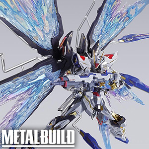 メタルビルド ストライクフリーダムガンダム 光の翼 Re:PACKAGE 新品 METAL BUILD ストライクフリーダムガンダム 光の翼オプションセット