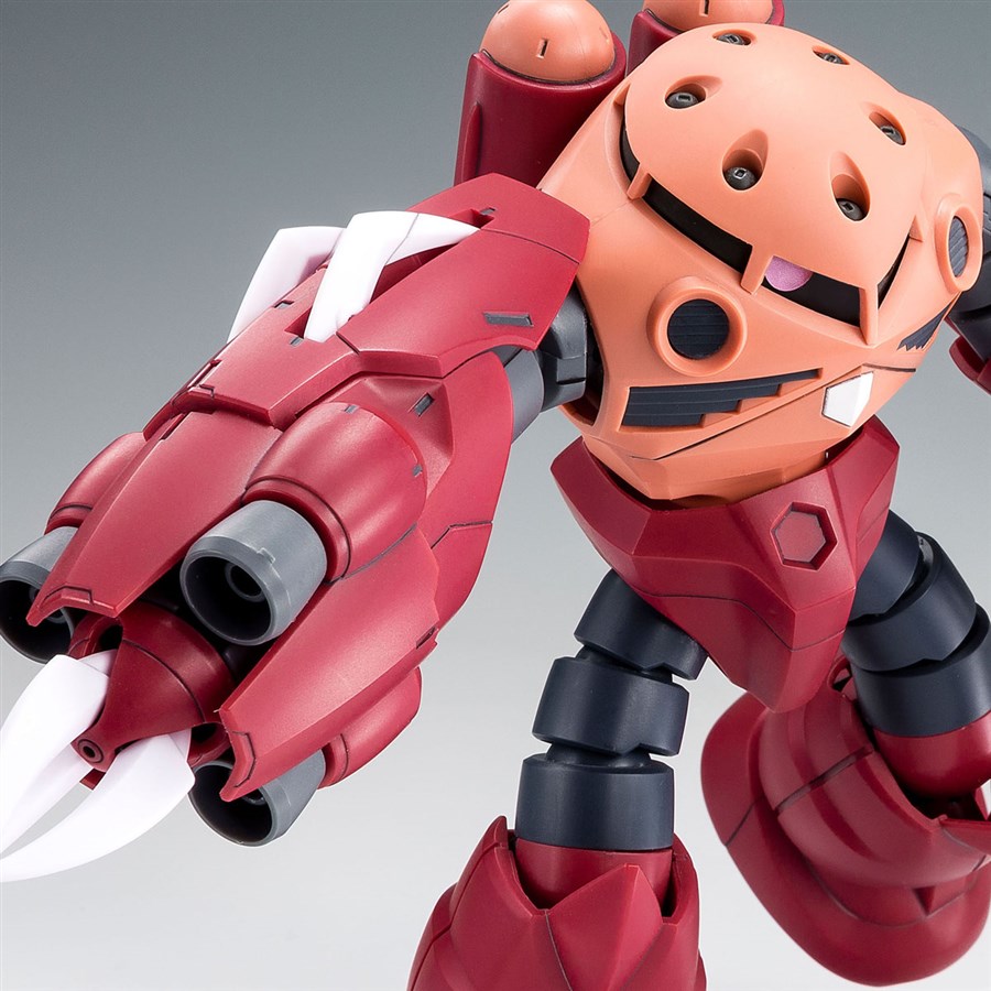HG ケンプファーアメイジング アメイジングズゴック 2点セット ガンダムビルドファイターズ GMの逆襲』より「HG アメイジングズゴック