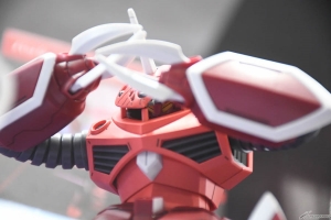 RG ソードインパルスガンダムSpecII」「HG ズゴック（SEED FREEDOM Ver