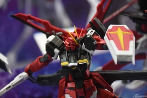 RG ソードインパルスガンダムSpecII」「HG ズゴック（SEED FREEDOM Ver