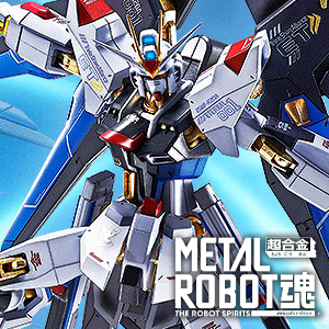 METAL ROBOT魂 ストライクフリーダムガンダム［Re:Coordinate］専用 光