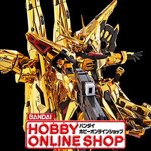 RG アカツキガンダム用シラヌイパック & HGゼウスシルエット用接続