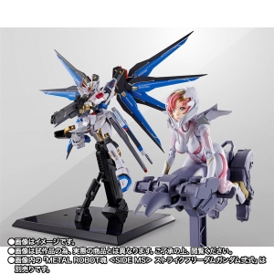S.H.Figuarts ラクス・クライン（パイロットスーツVer.） ライドオン