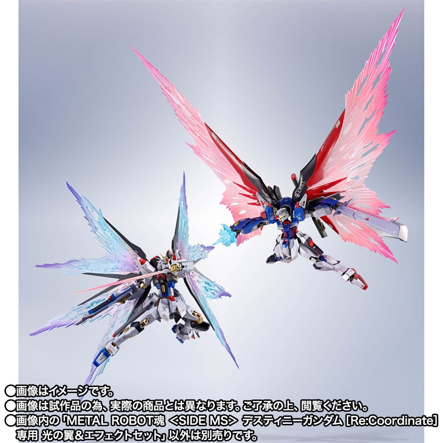 METAL ROBOT魂 デスティニーガンダム［Re:Coordinate］専用 光の翼