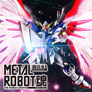 METAL ROBOT魂 デスティニーガンダム［Re:Coordinate］専用 光の翼
