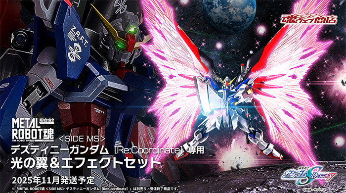METAL ROBOT魂 デスティニーガンダム［Re:Coordinate］専用 光の翼