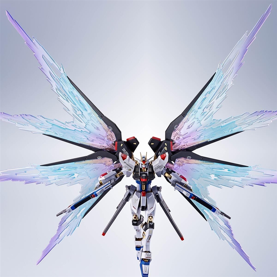 METAL ROBOT魂 ストライクフリーダムガンダム［Re:Coordinate］専用 光