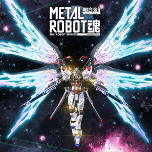METAL ROBOT魂 ストライクフリーダムガンダム［Re:Coordinate］専用 光