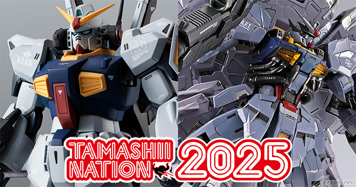 ROBOT魂 ガンダムMk-II（エゥーゴ仕様）ver. A.N.I.M.E. -Zガンダム40